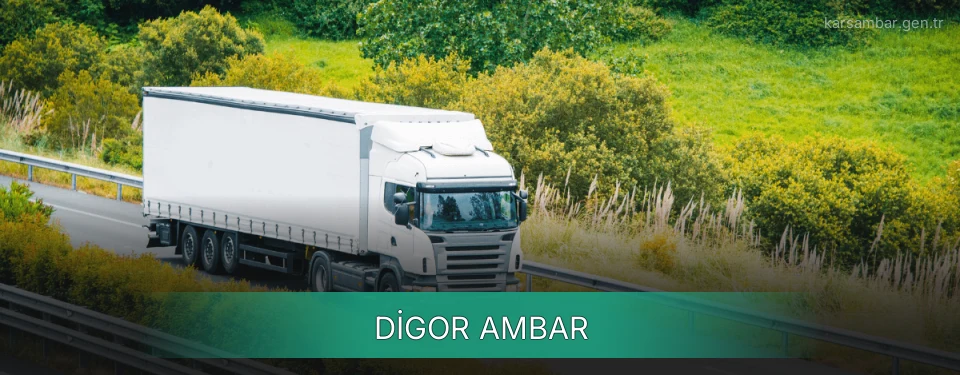Digor Ambar