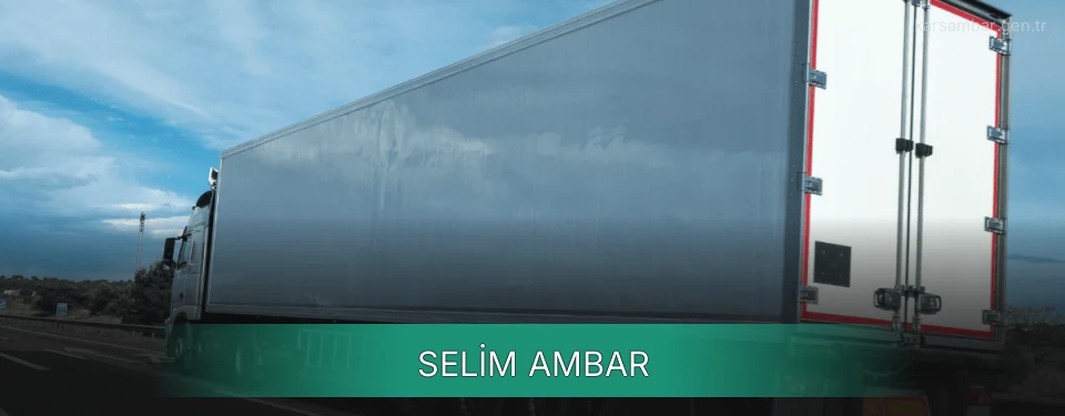 Selim Ambar